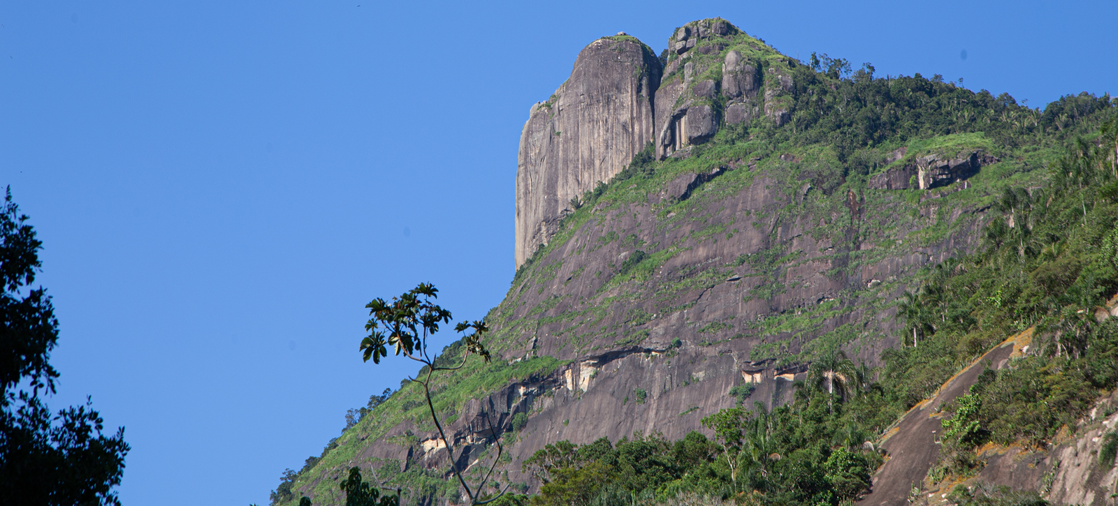 Paredão da Pedra da Gávea visto do condomínio